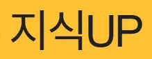 지식UP